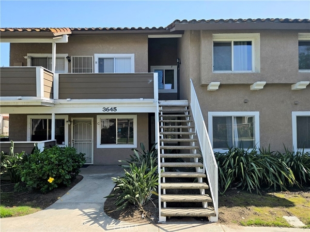 3645 Country Oaks Loop - Photo 1