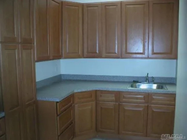 244-10 Jericho Turnpike - Photo 1