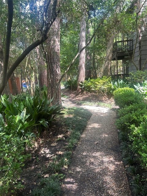 11711 Memorial Drive - Photo 1