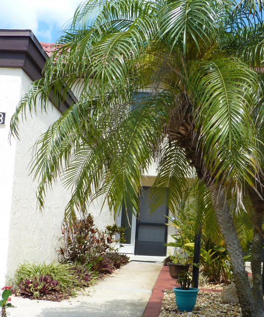 8718 Bay Court - Photo 1