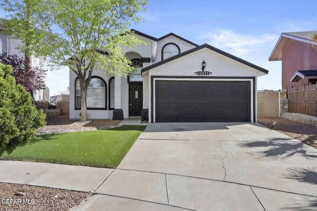 12425 Red Sun Drive - Photo 1