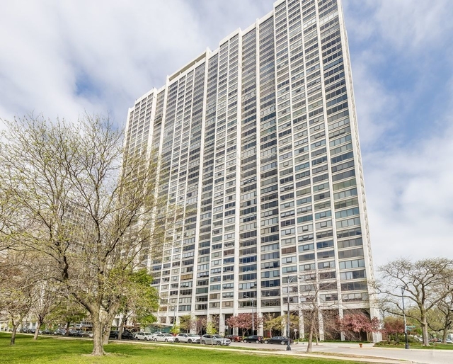 2800 N Lake Shore Drive - Photo 1