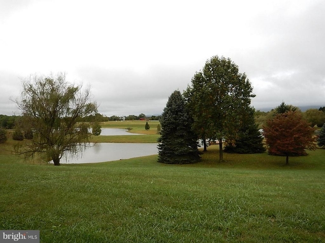 13886 Berlin Turnpike - Photo 1