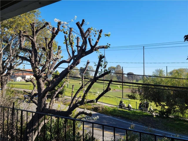16862 Coach Lane - Photo 1