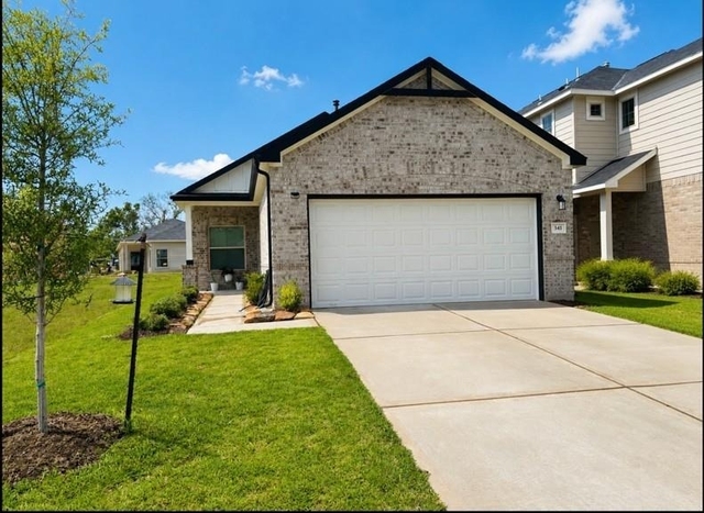 341 Emerald Thicket Lane - Photo 1
