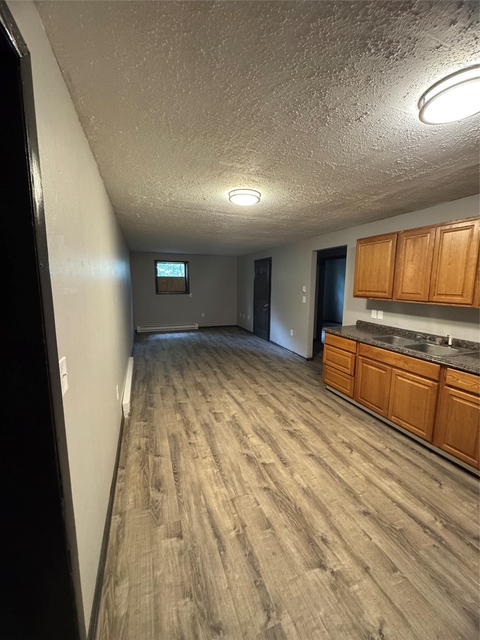 111 E Franklin Street - Photo 1