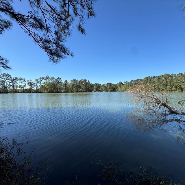 6273 Alder Creek Drive - Photo 1