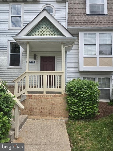 14239 Jib Street - Photo 1