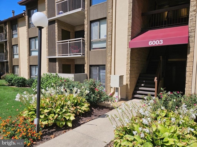 6003 Majors Lane - Photo 1
