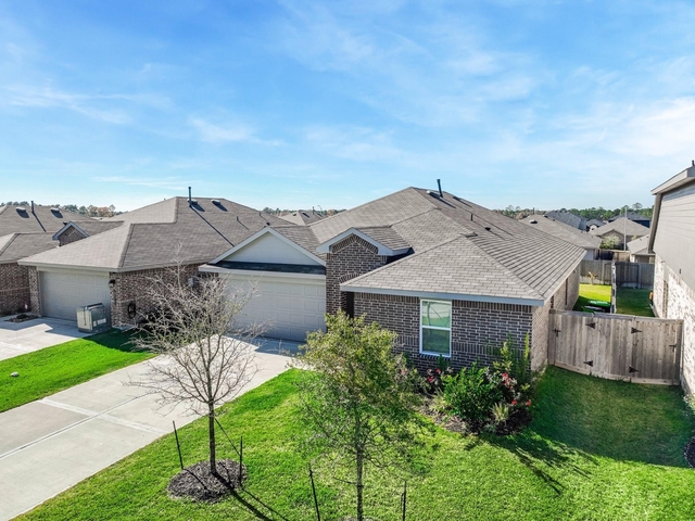 40519 Crisp Beech Street - Photo 1