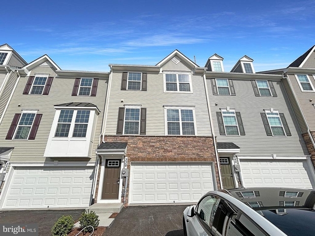 338 Paca Gardens Ln - Photo 1
