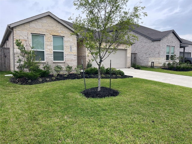 16503 Texas Palmetto Way - Photo 1