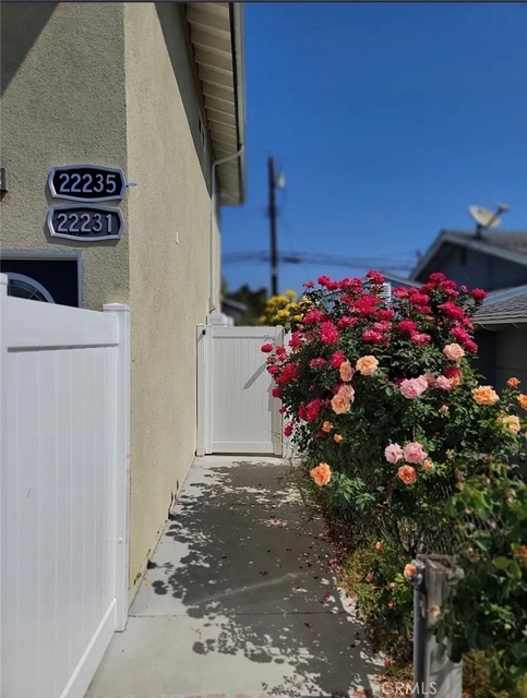 22233 Burton - Photo 1