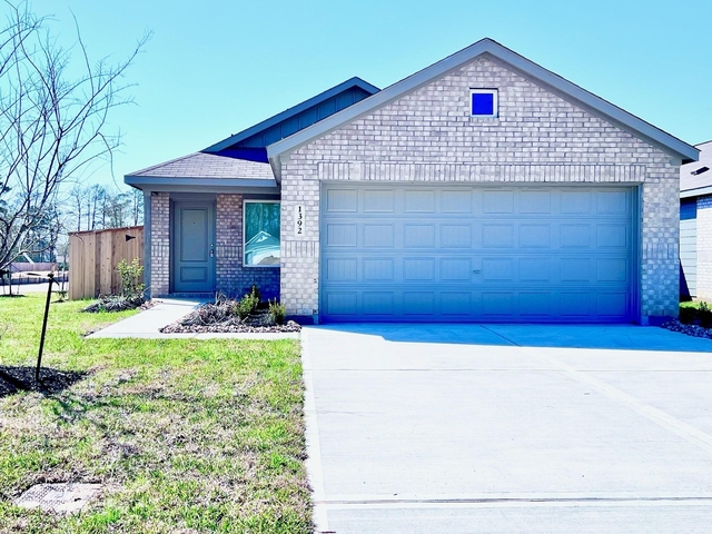1392 Diamond Carnation Drive - Photo 1