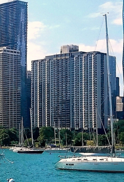 400 E Randolph Street - Photo 1