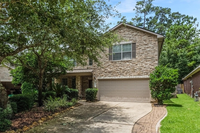7 Ebony Oaks Place - Photo 1