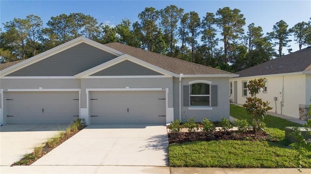 31351 Paper Birch Street - Photo 1