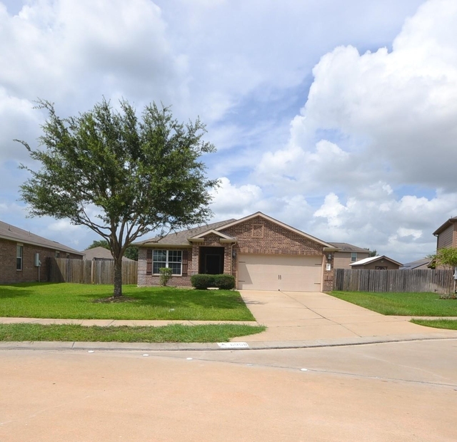 6958 Chessgate Falls Lane - Photo 1