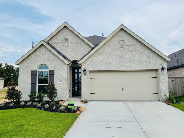19119 Friesian Stallion Lane - Photo 1