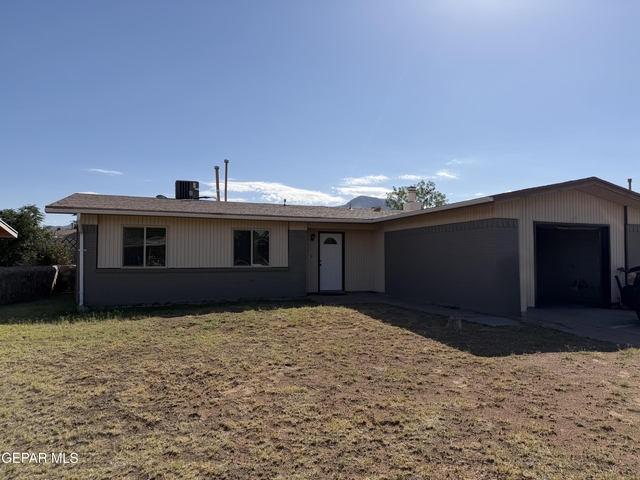 10429 Persephone Drive - Photo 1
