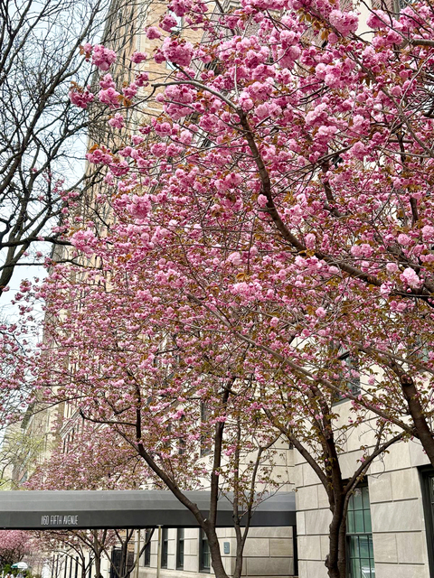 1160 5th Avenue, New York, NY  - Photo 1