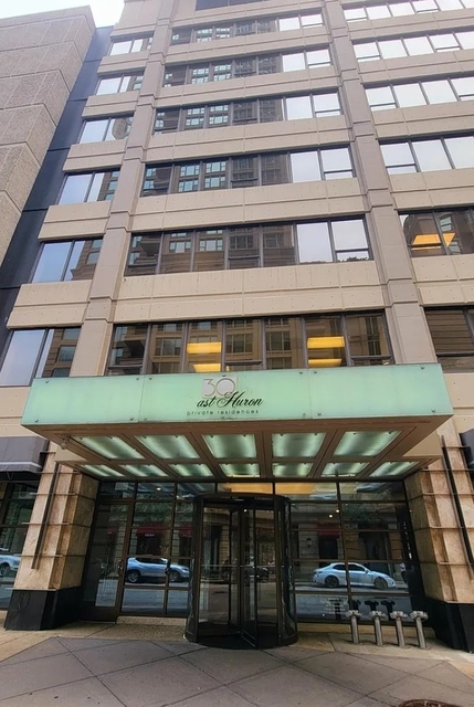 30 E Huron Street - Photo 1