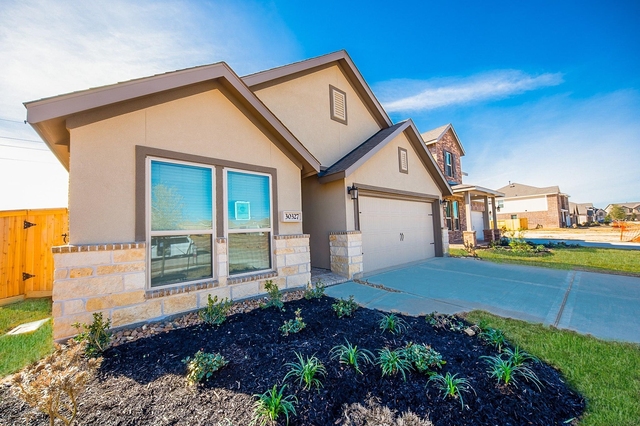 30327 Centipede Grove Lane - Photo 1