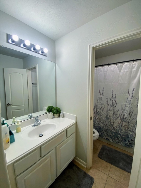 13011 Sandflower Lane - Photo 1