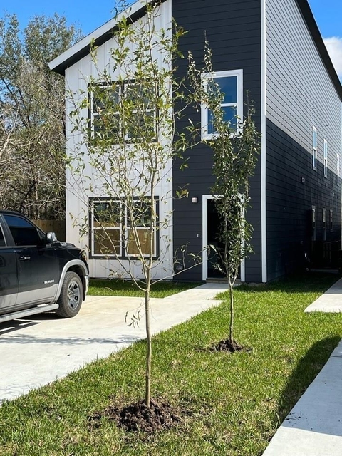 6918 Tommye Street - Photo 1