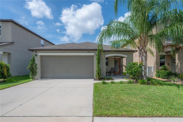 3615 Cat Mint Street - Photo 1