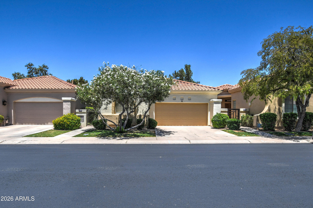7910 E Cholla Street - Photo 1
