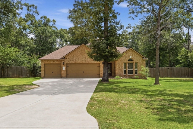 9217 Silver Back Trail - Photo 1
