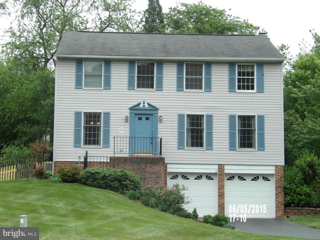 13767 Cabells Mill Drive - Photo 1