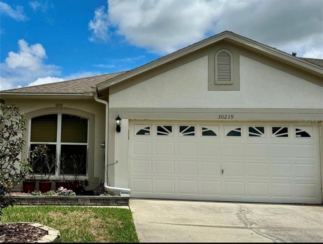 30239 Emmetts Court - Photo 1
