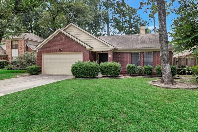 6 Green Slope Place - Photo 1