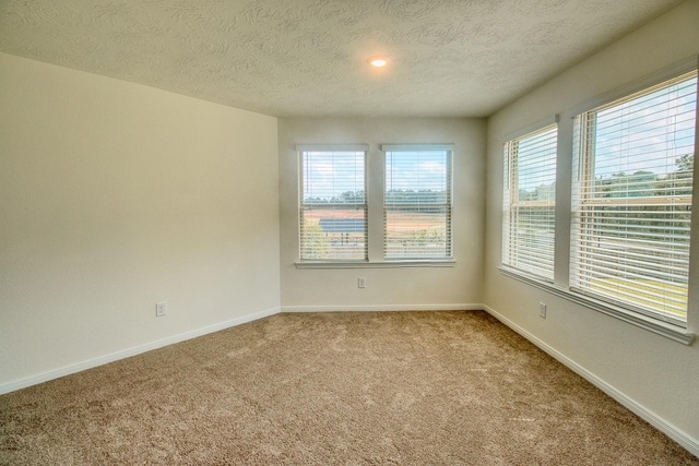 3539 Sage Green Trail - Photo 1