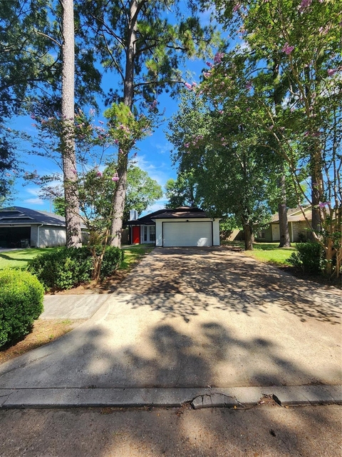 5003 Maurita Drive - Photo 1