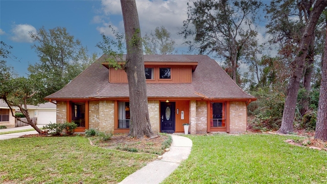 3819 Brook Shadow Drive - Photo 1