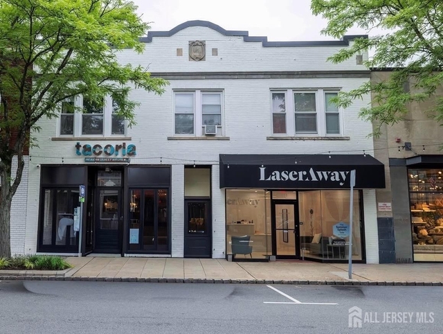 353 Springfield Avenue - Photo 1