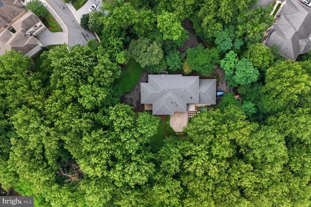 8309 Old Seven Locks Road - Photo 1