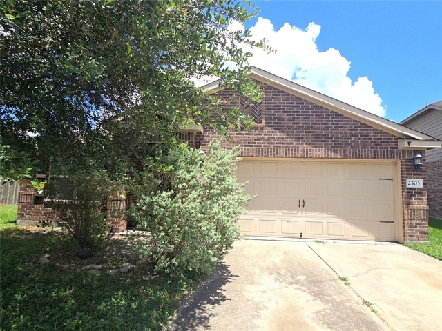 2303 Golden Brandy Lane - Photo 1