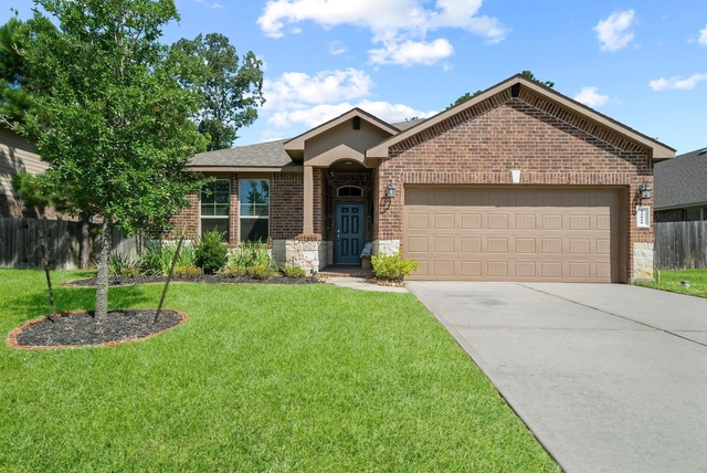 14011 Wolftrap Lane - Photo 1