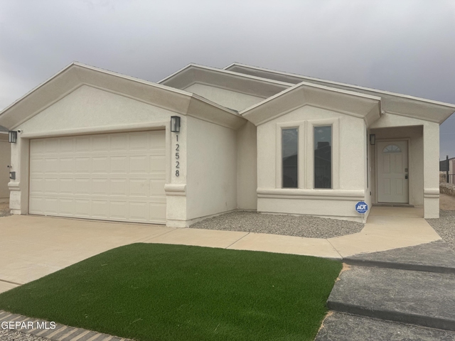 12528 Polo Norte Drive - Photo 1