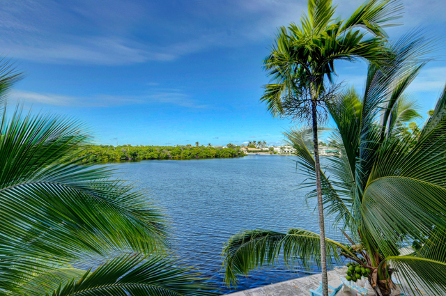 6520 N Ocean Boulevard - Photo 1
