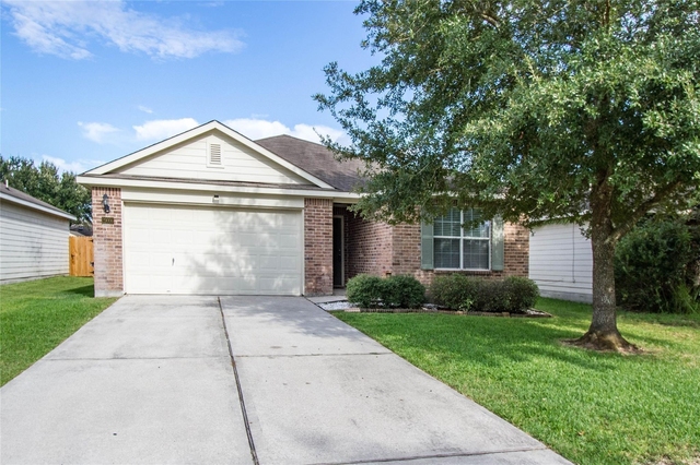 29006 Trinity River Drive - Photo 1