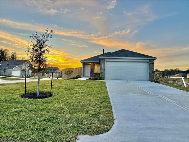 16734 Largetooth Aspen Lane - Photo 1
