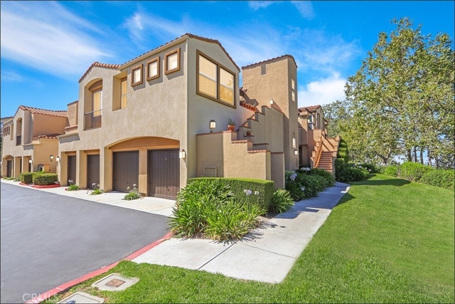 80 Verdin - Photo 1