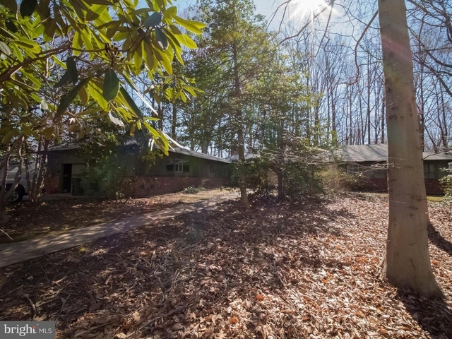 4313 Woodlark Drive - Photo 1