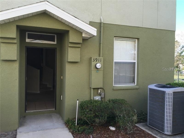3911 Pemberly Pines Circle - Photo 1