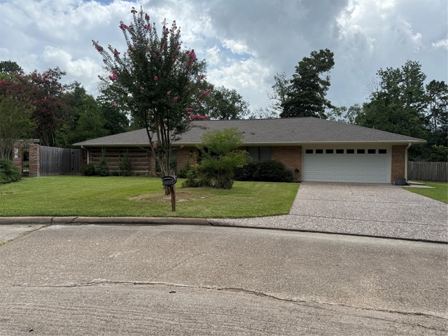 3414 Wooddale Lane - Photo 1